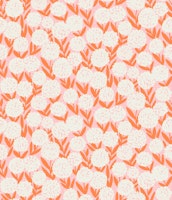 Cream and Orange Allium Flowers on Light Pink ταπετσαρία