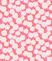 White and Coral Allium Flowers on Pink ταπετσαρία