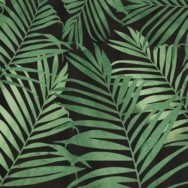 Watercolor Palm Leaves - Black