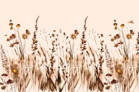 Dry Wildflower Dream papiers peint