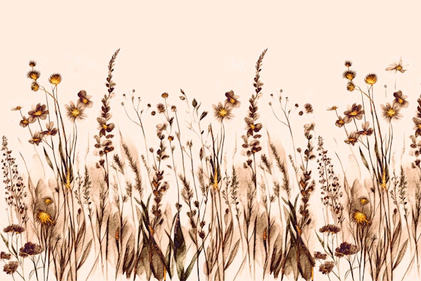 Dry Wildflower Dream