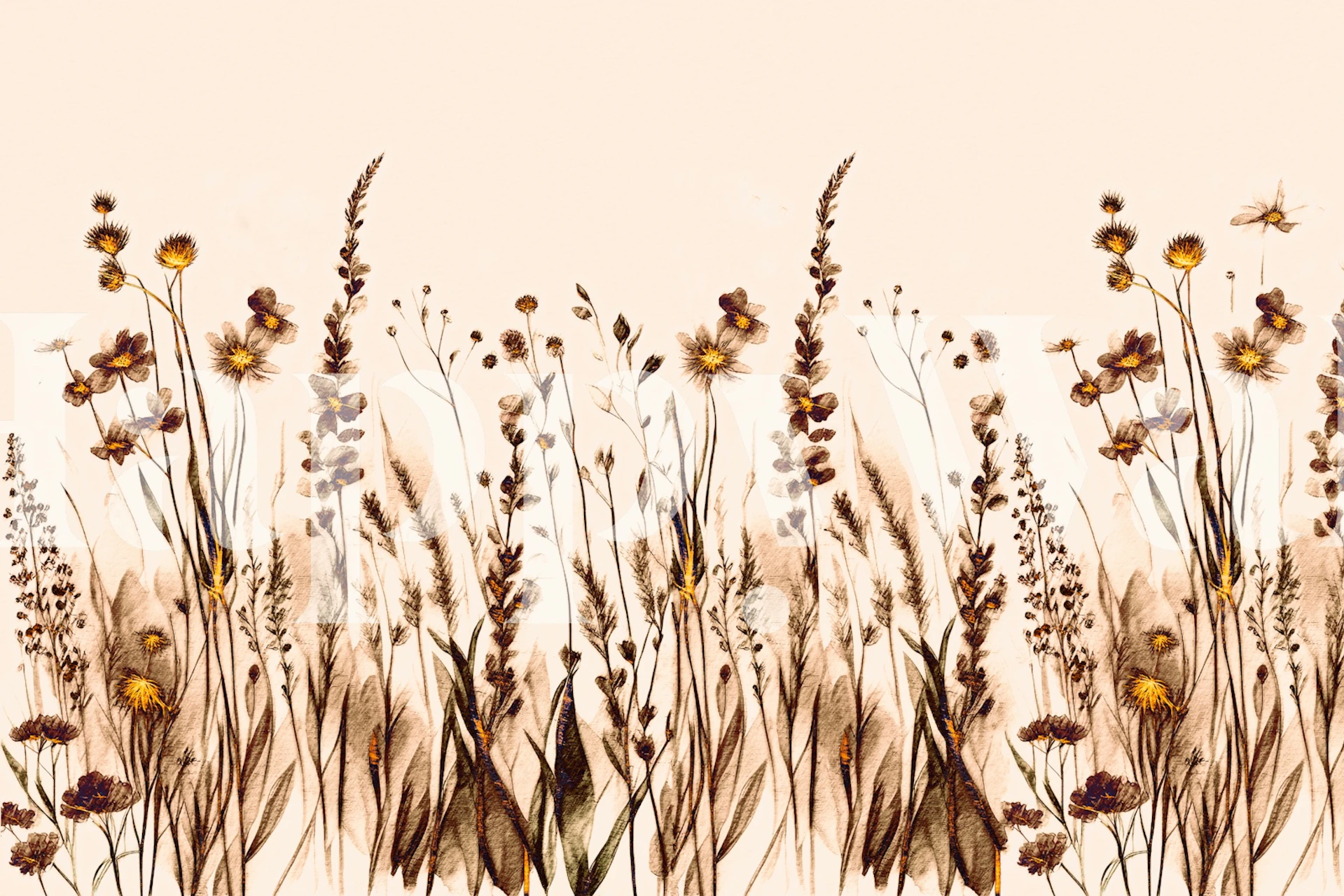 Dry Wildflower Dream wallpaper in a room