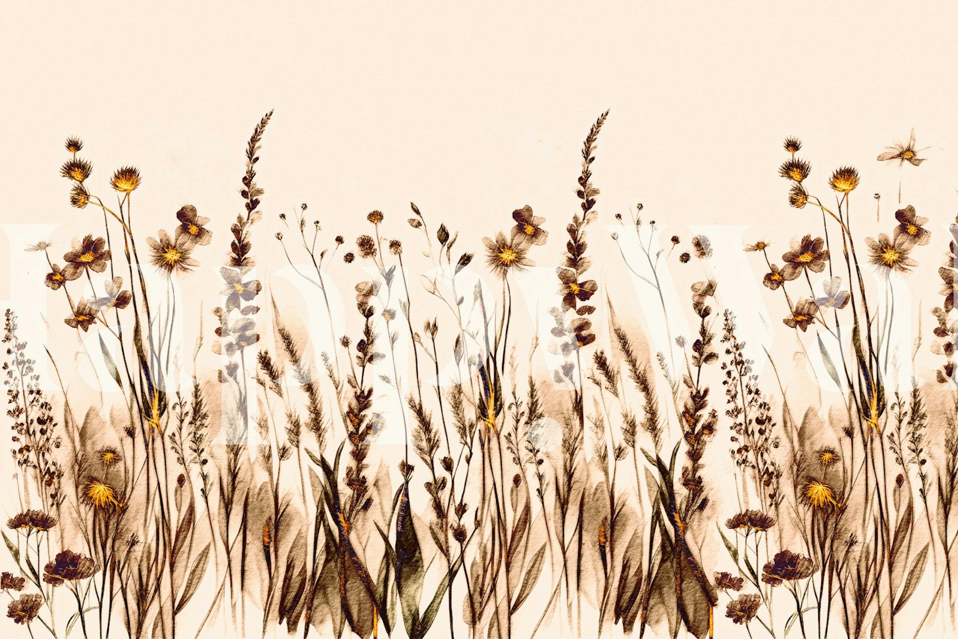 Dry Wildflower Dream wallpaper in a room