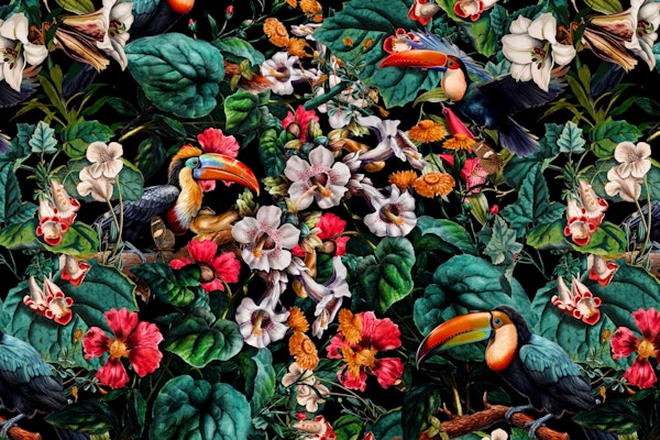 Exotic Blooms and Toucans