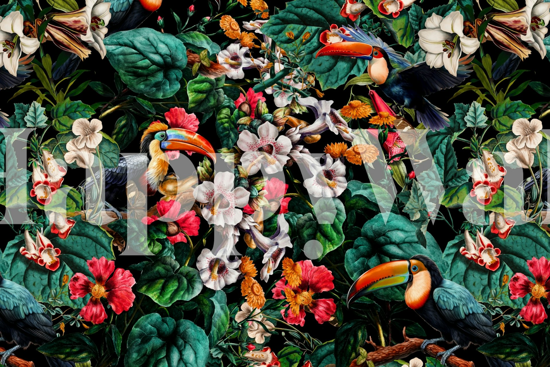 Tropical toucans and colorful flowers on dark background wallpaper