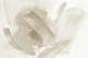 Warm beige brush strokes 2
