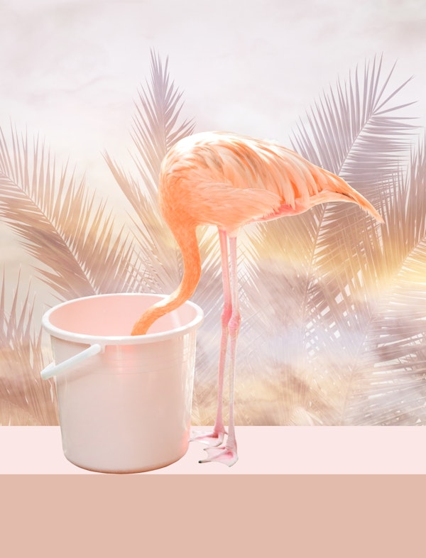 Palms Flamingo Bucket 1