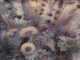 Soothing Moody Autumn Flower Garden