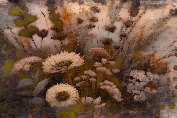 Soulful Wildflower Autumn