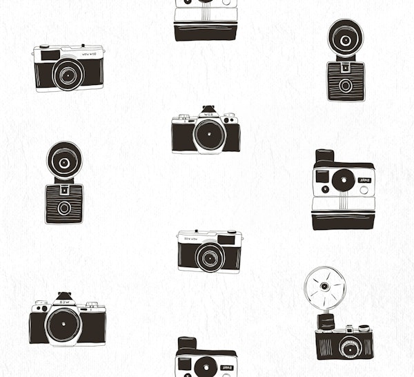 Vintage Cameras