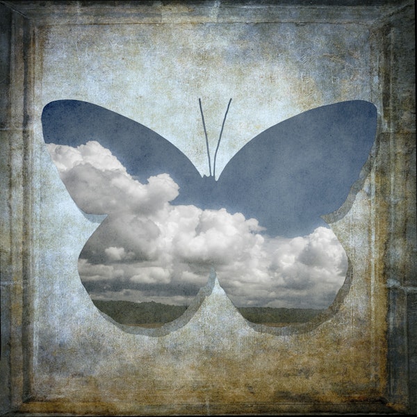 Vintage Butterfly