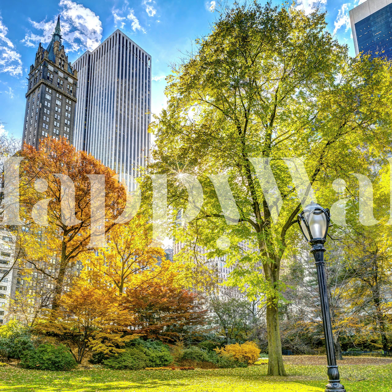 Central Park in Fall Colors pozadina u sobi