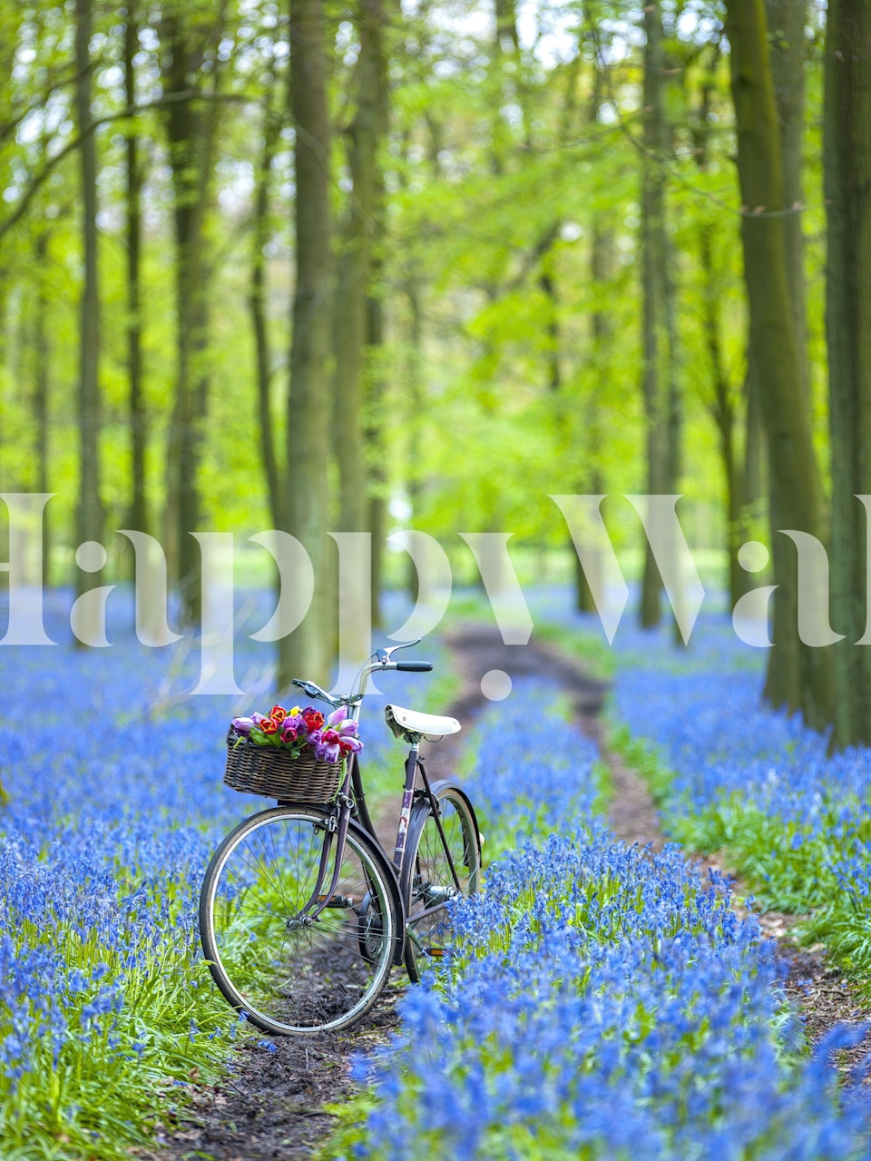 Bicycle on path surrounded by blue flowers and green trees wallpaper