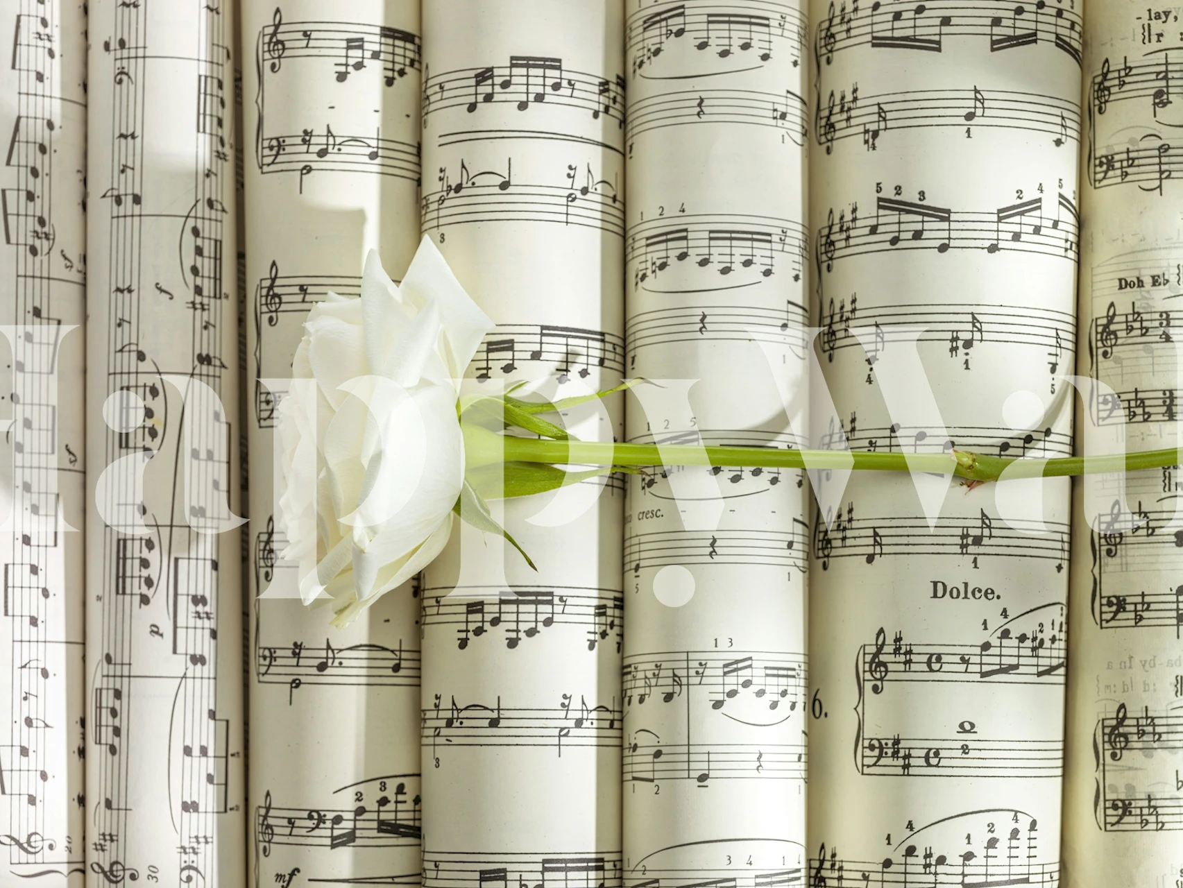 Papier peint mural avec partition de musique et fleur blanche - Harmonious Melody