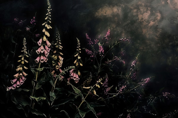 Dark Moody Night Foxglove Forest