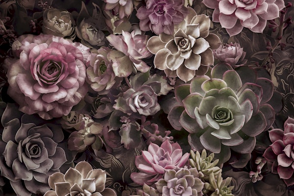 Desert Garden Moody Flower And Succulent