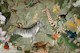 African Wild Animal Jungle United