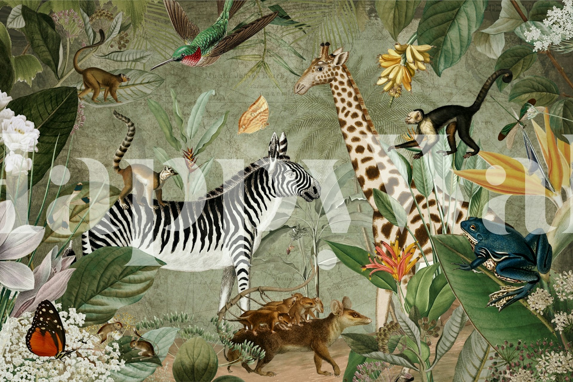 tapeta African Wild Animal Jungle u sobi