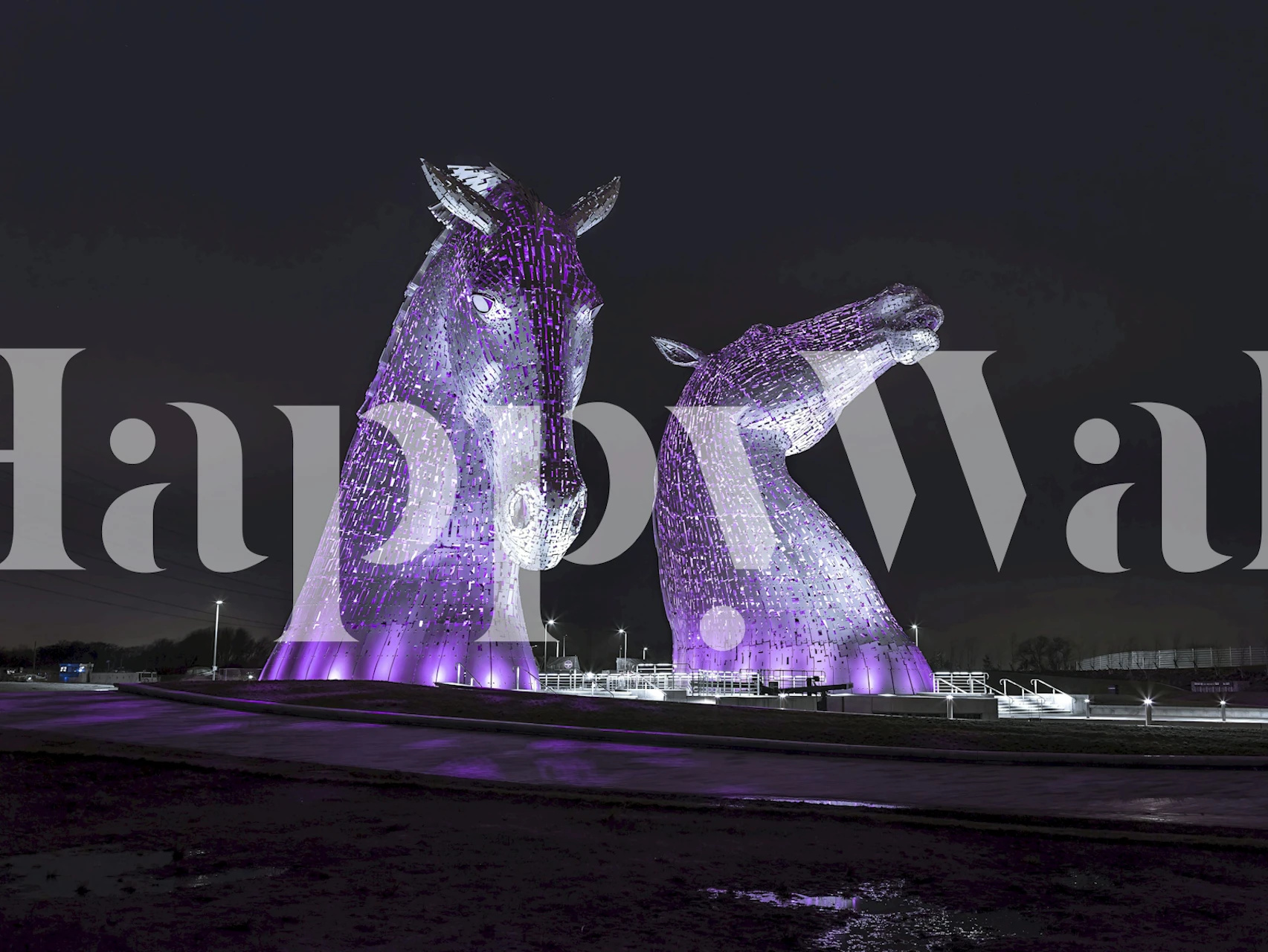 Illuminated horse sculptures in purple and silver wallpaper