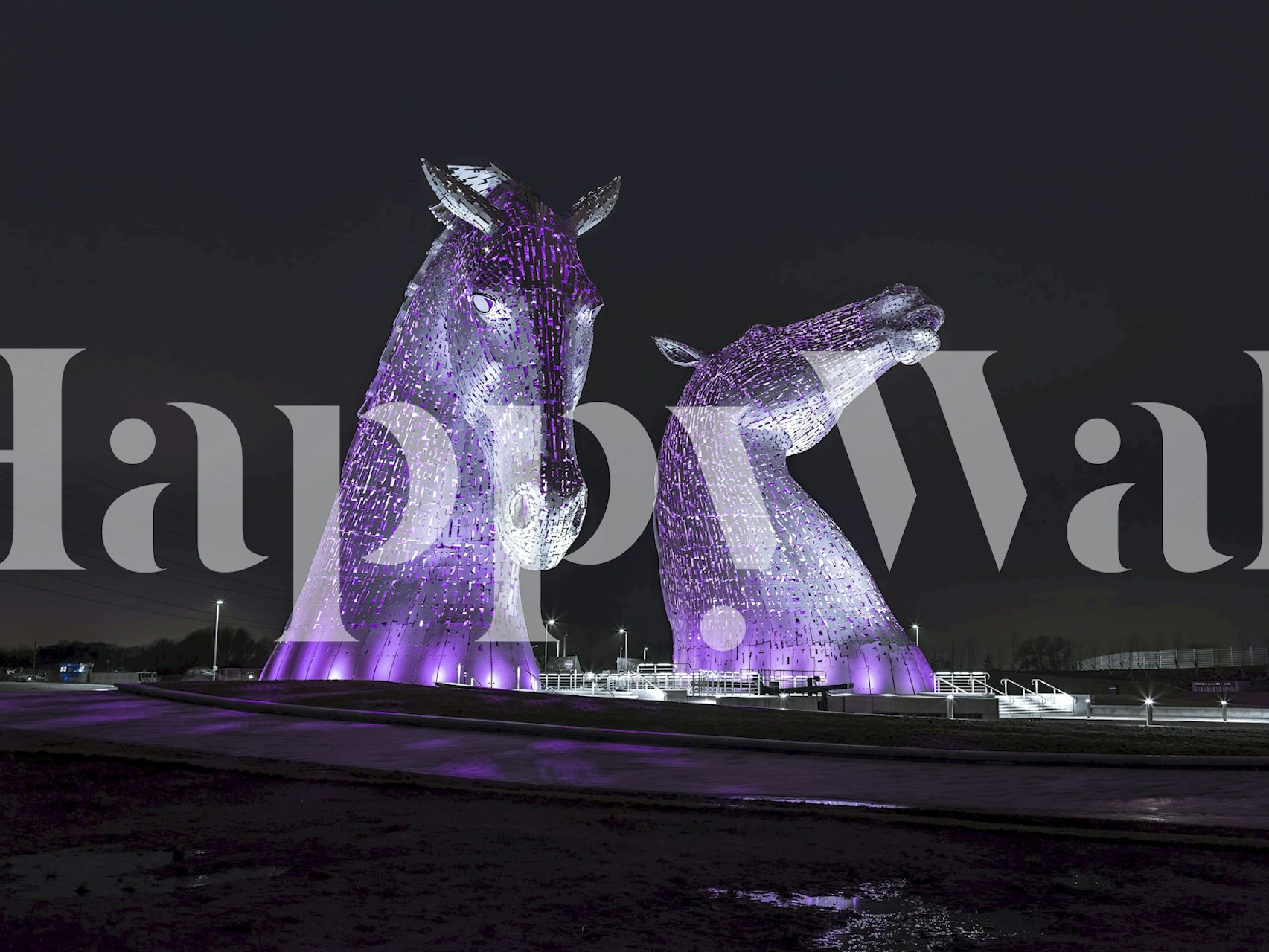 Illuminated horse sculptures in purple and silver wallpaper