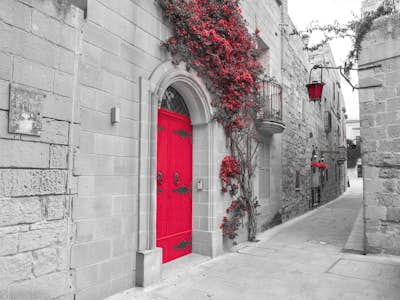 Τοιχογραφία