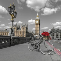 London Love Ride tapete