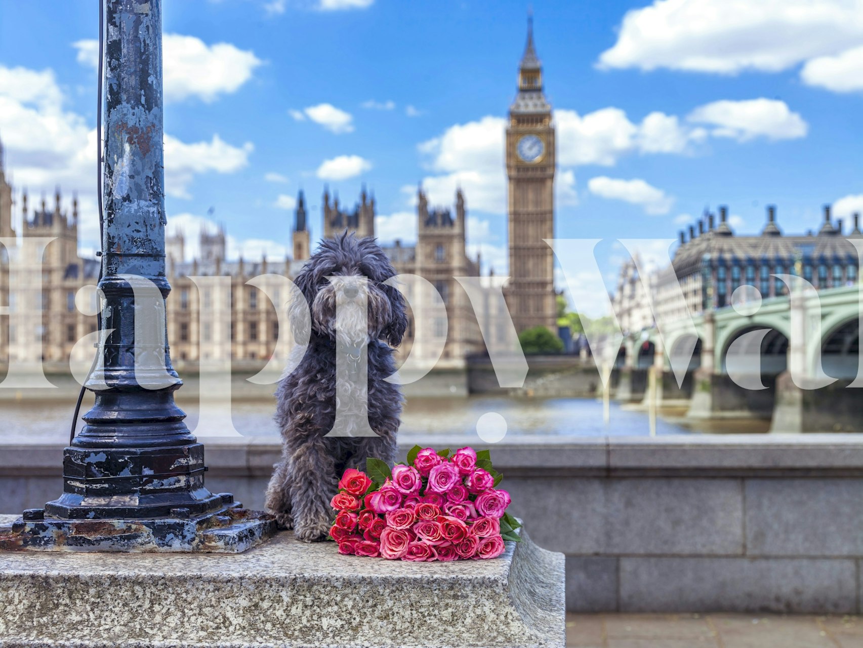 Ταπετσαρία Unexpected Beauty σε ένα δωμάτιο