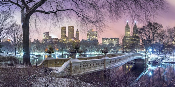 Central Park with Manhattan Skyline