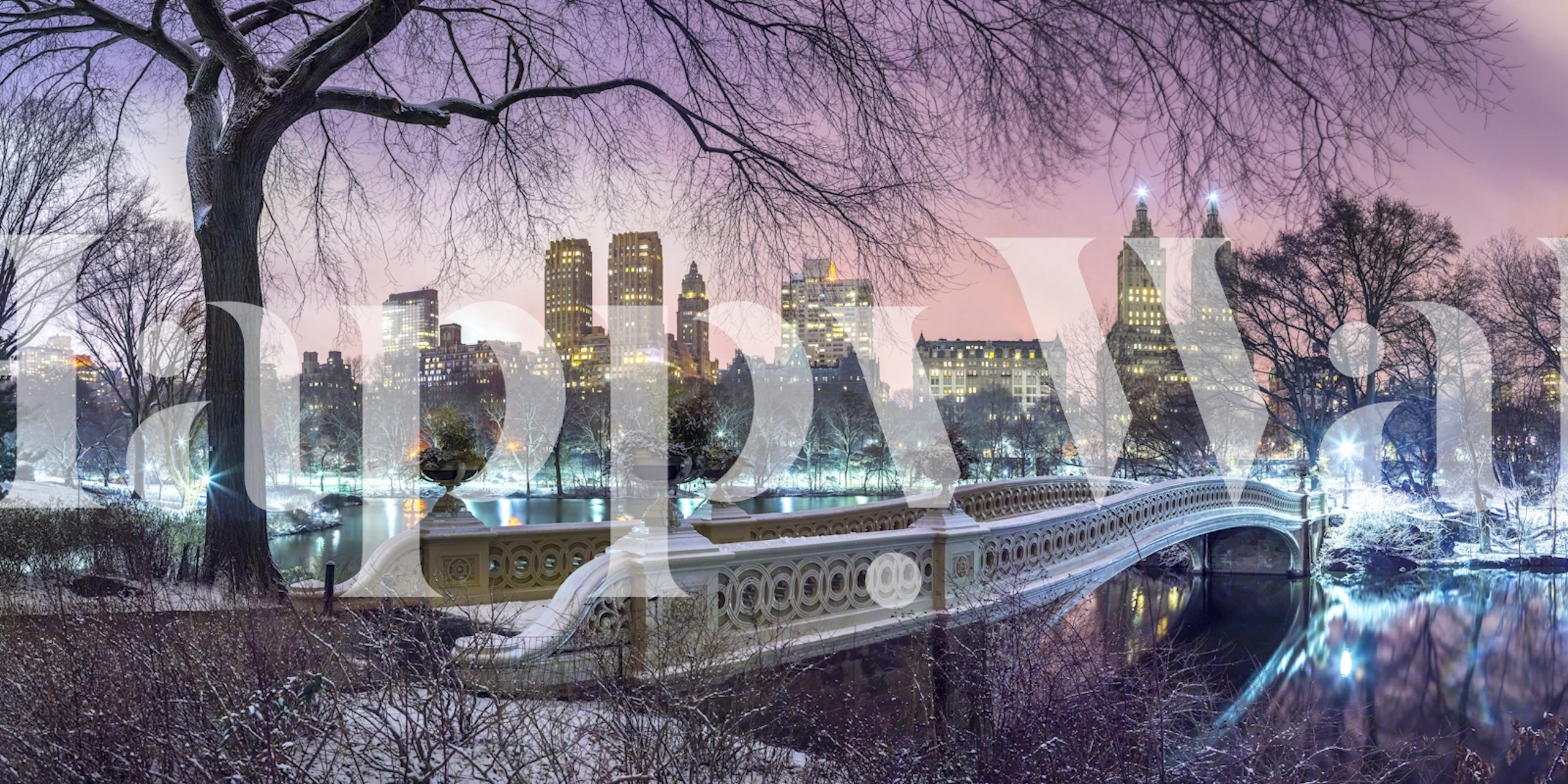 Tapeta Central Park s Manhattan skyline