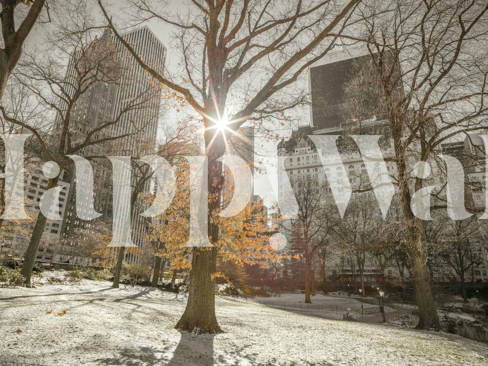 City park scene with autumn trees and sunlight