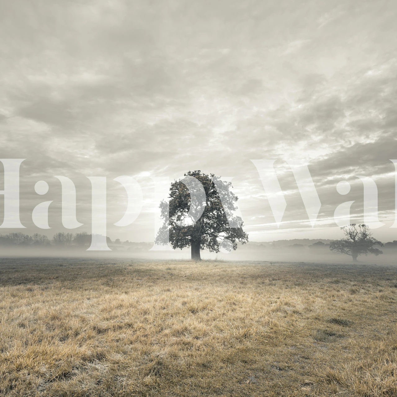 Dawn Awakening wallpaper featuring a tree