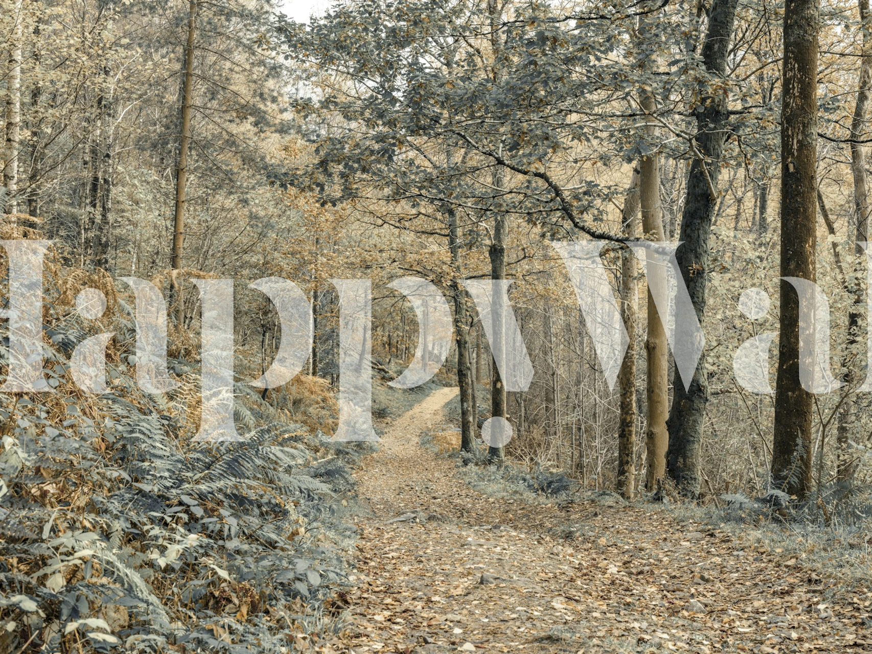 Forest trail featuring trees and foliage in soft earthy tones wallpaper