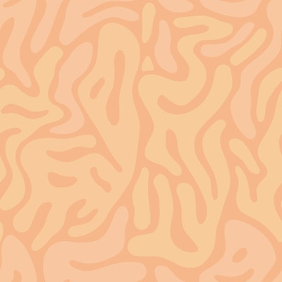 Modèle