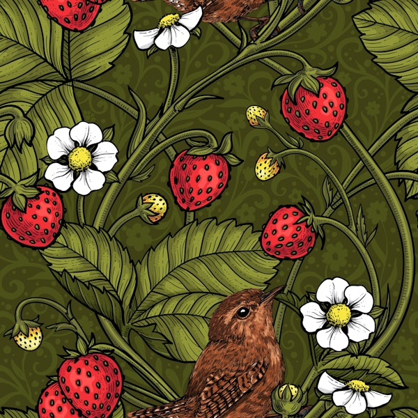 Wrens and strawberries on dark green