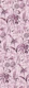 Tropical Bloom Serenade Exotic Flowers