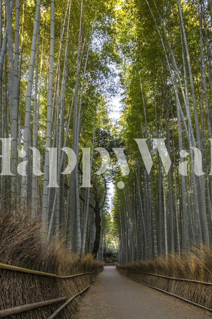 Bamboo trees in a forest with green leaves wallpaper