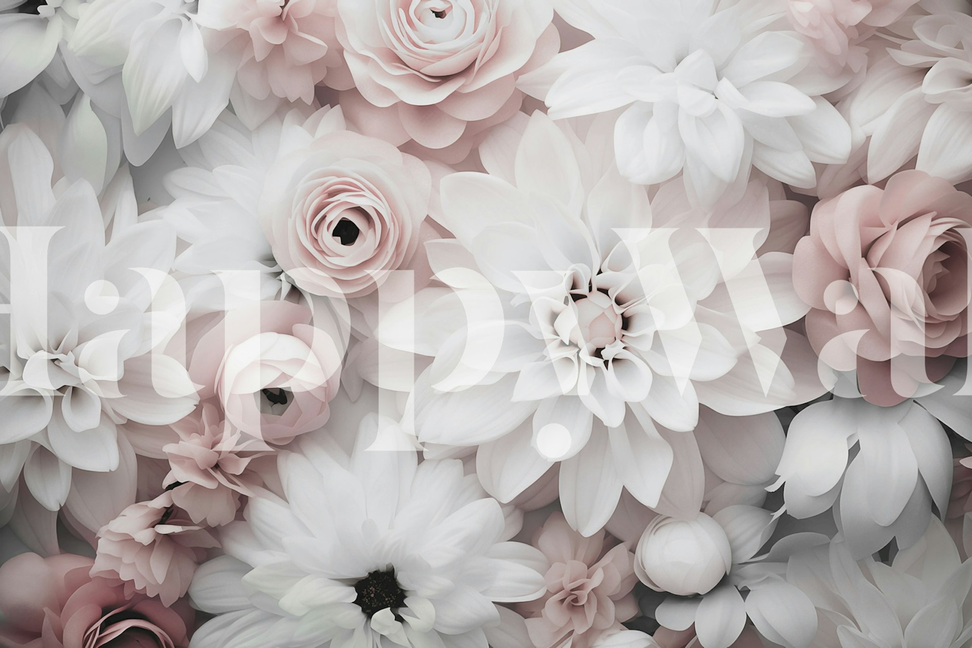 White and pink floral wallpaper with large blossoms and petals