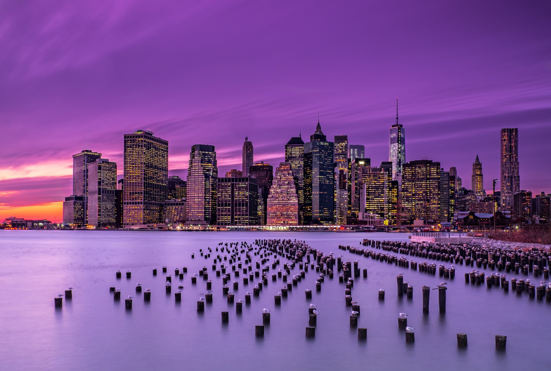 New York Violet Sunset Tapet Fototapet Lila Happywall