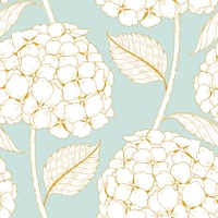 white hydrangea flowers on powder blue wallpaper