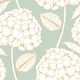 soft white hydrangea botanical on mint