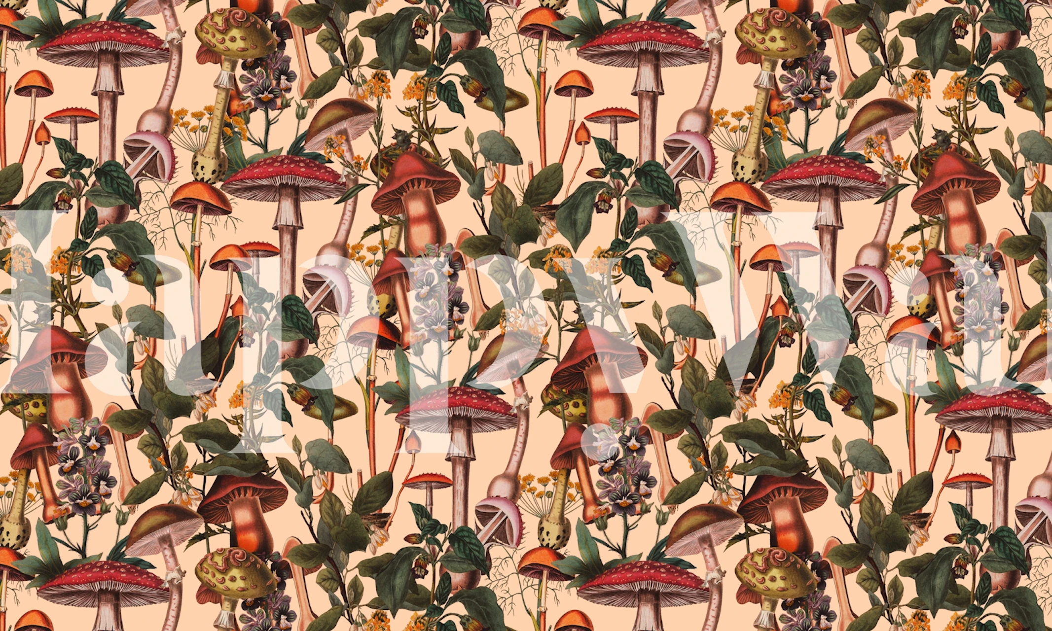 Colorful mushrooms and foliage with floral patterns wallpaper