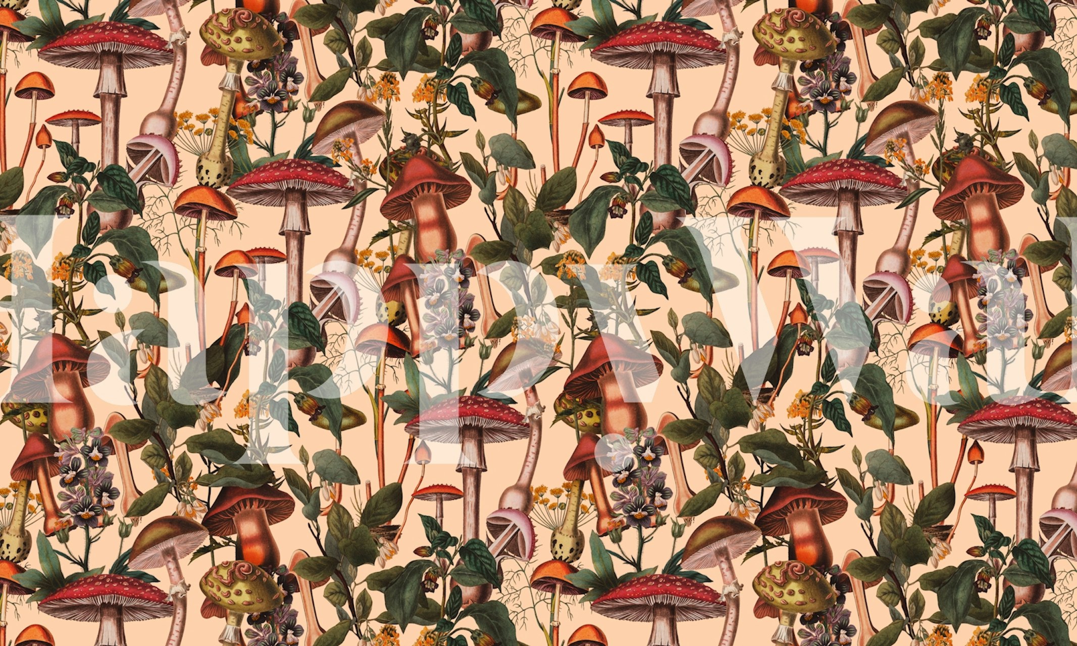 Colorful mushrooms and foliage with floral patterns wallpaper