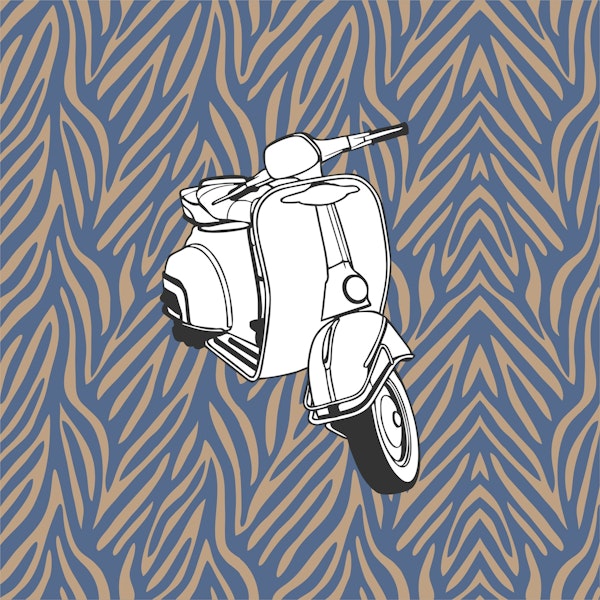 Monochrome taupe blue zebra vespa