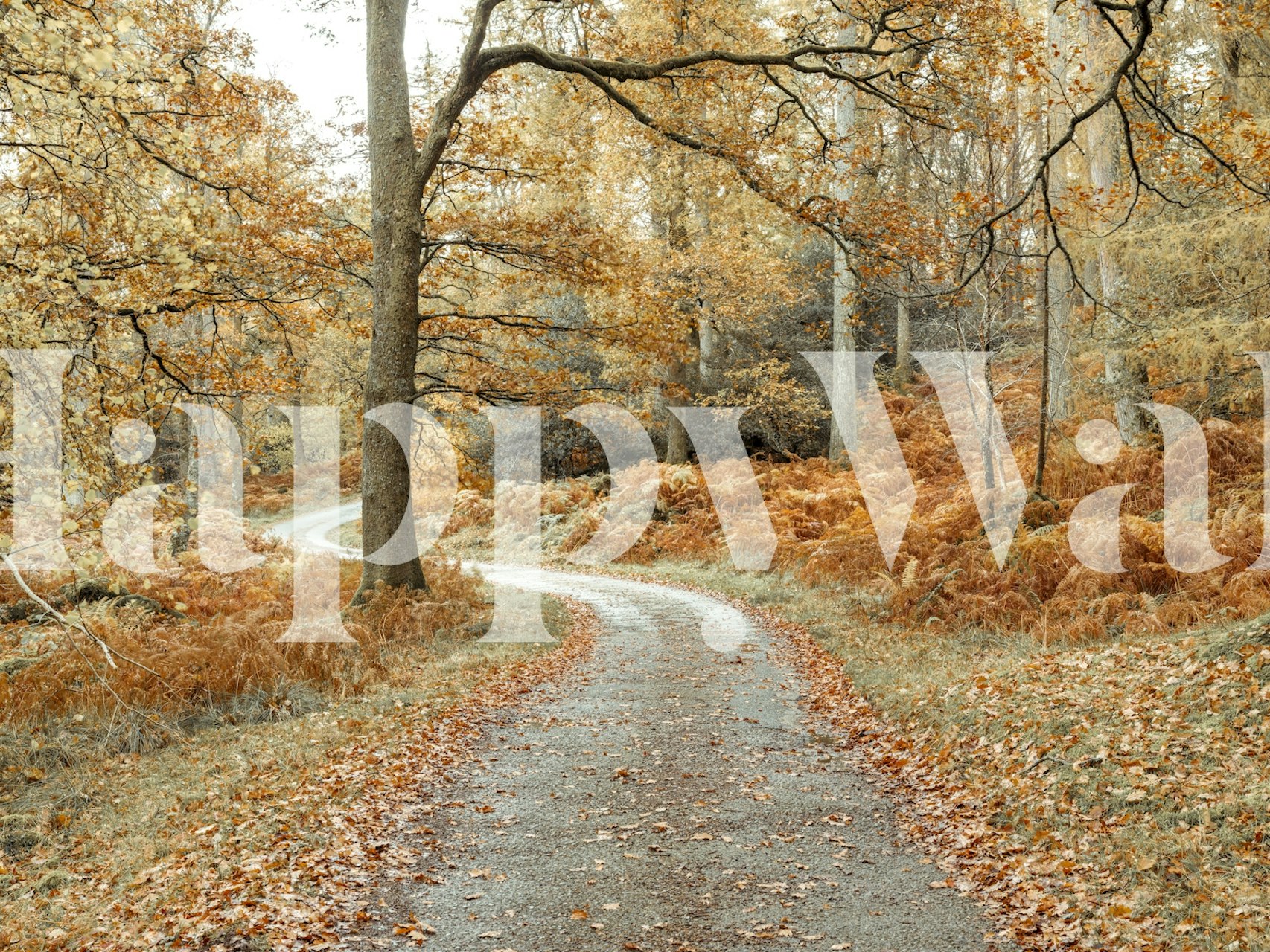 Papel de parede Woodland Journey em um quarto