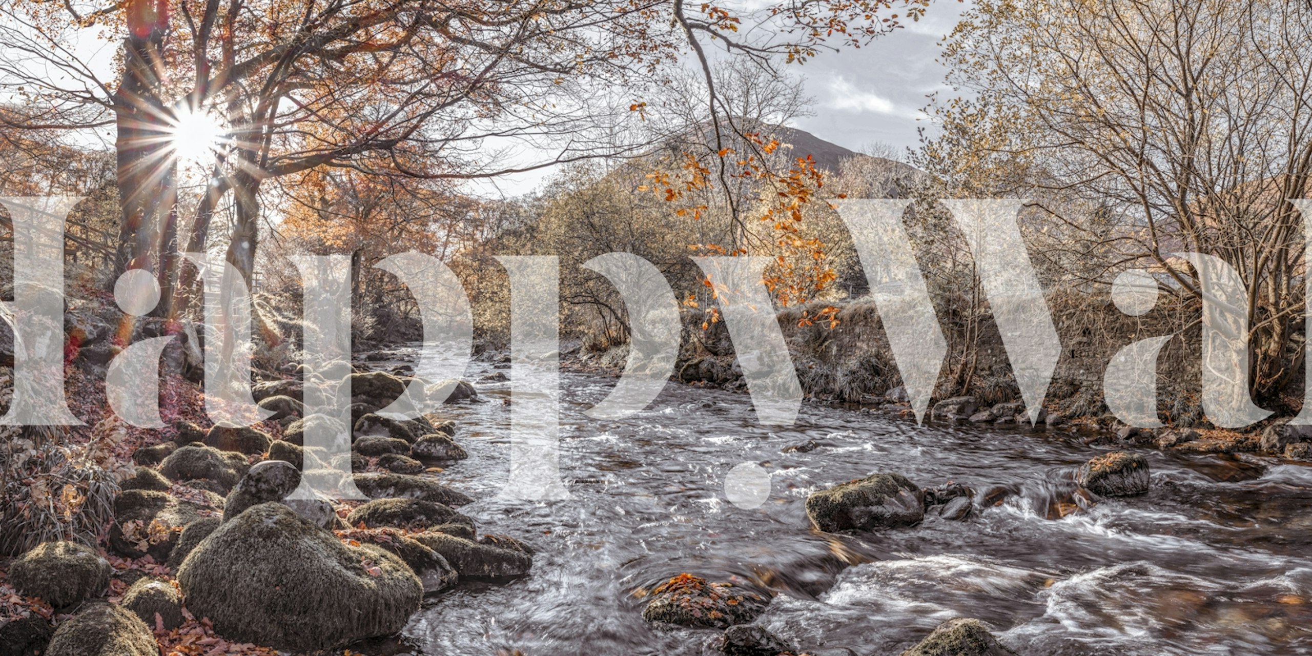 Natural Flow-tapet i en rumindstilling