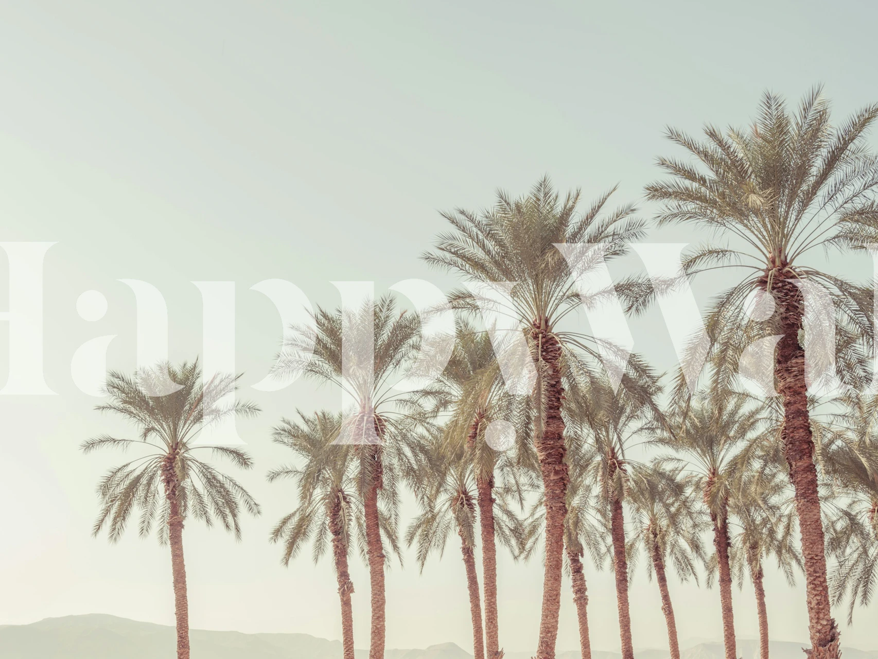 Palm trees wallpaper design in a room