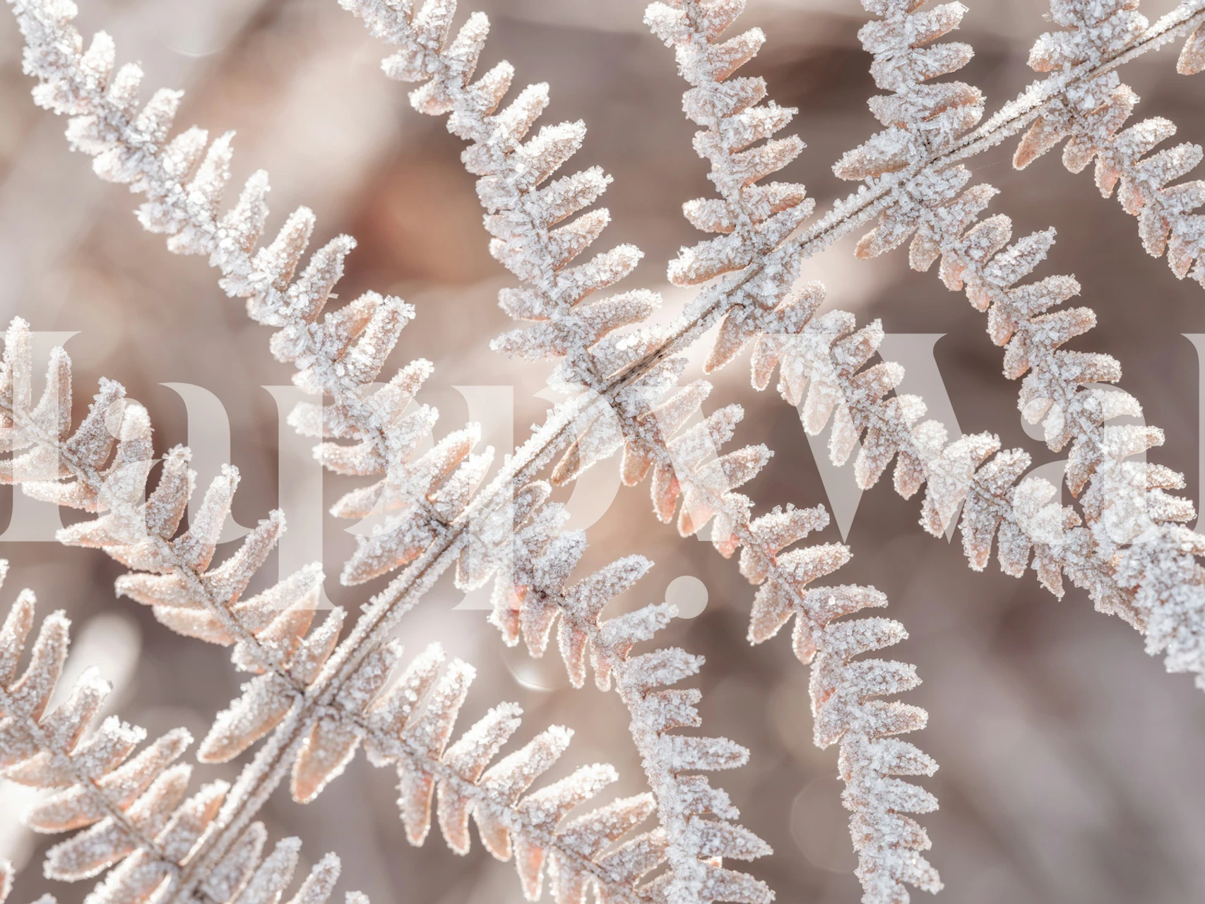 Plant Frost wallpaper design in a room