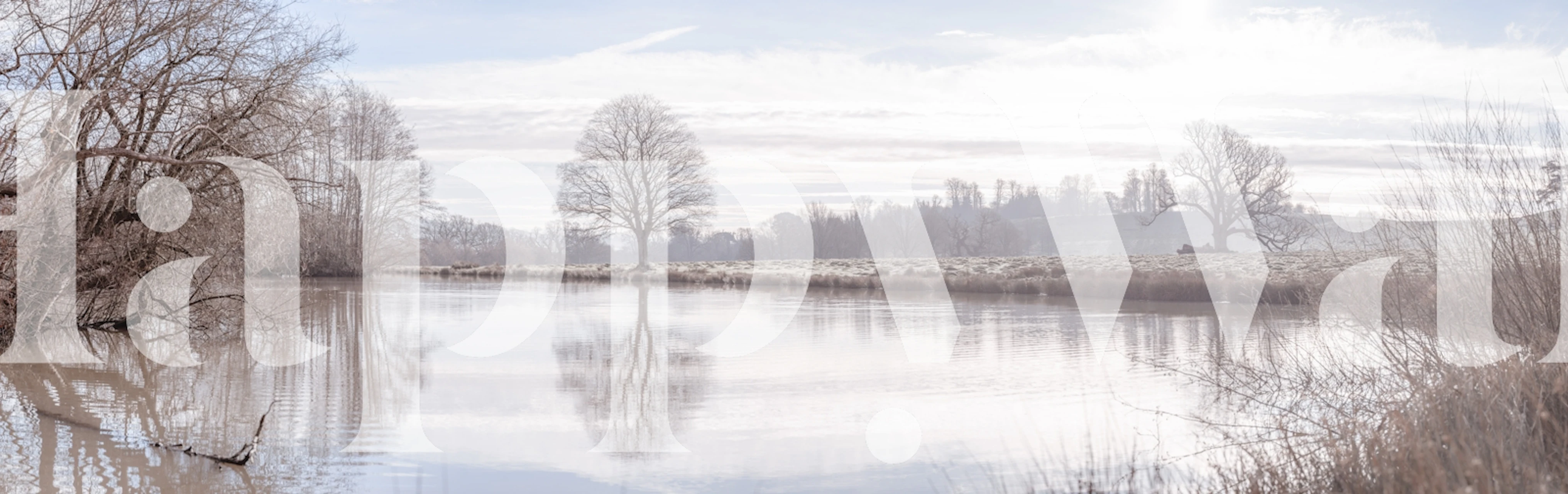 Tranquil forest and water landscape in soft colors wallpaper