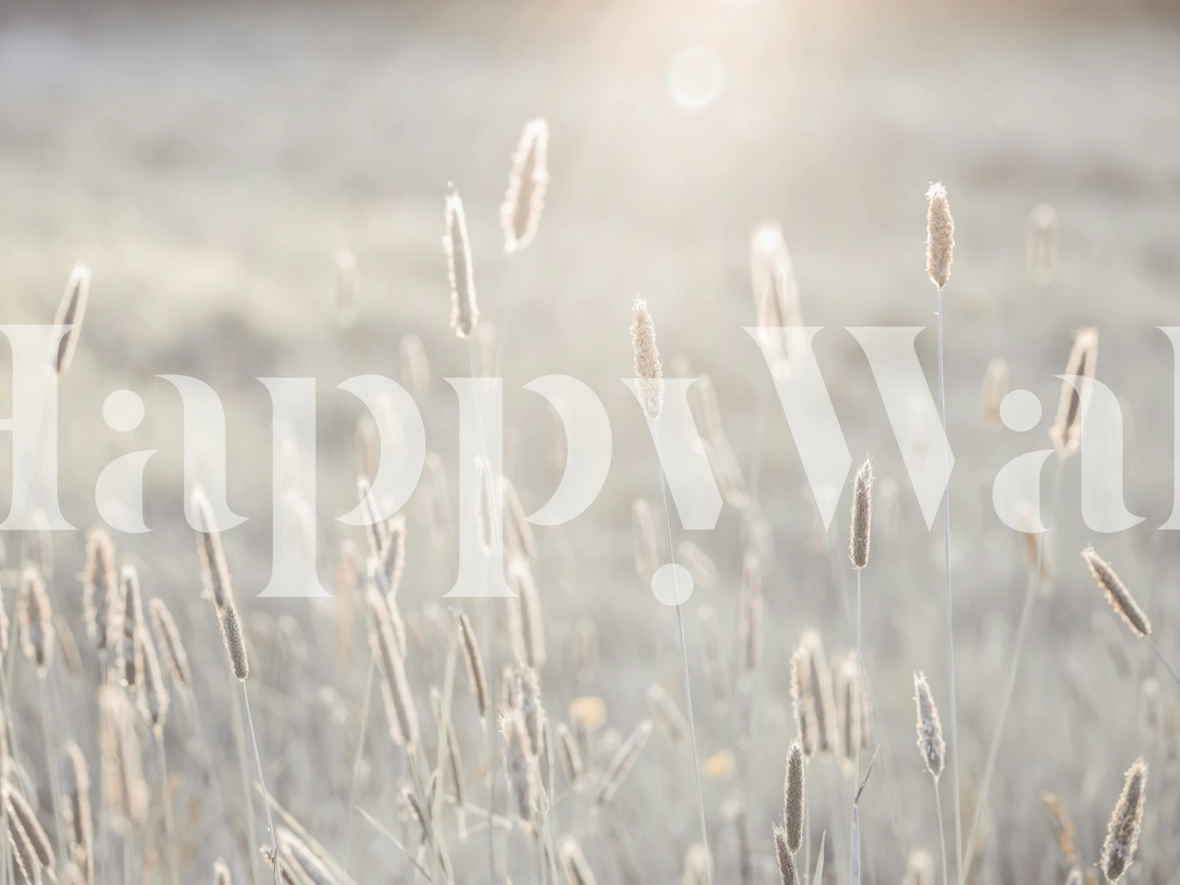 Seasonal Splendor Tapete in einem Raumambiente