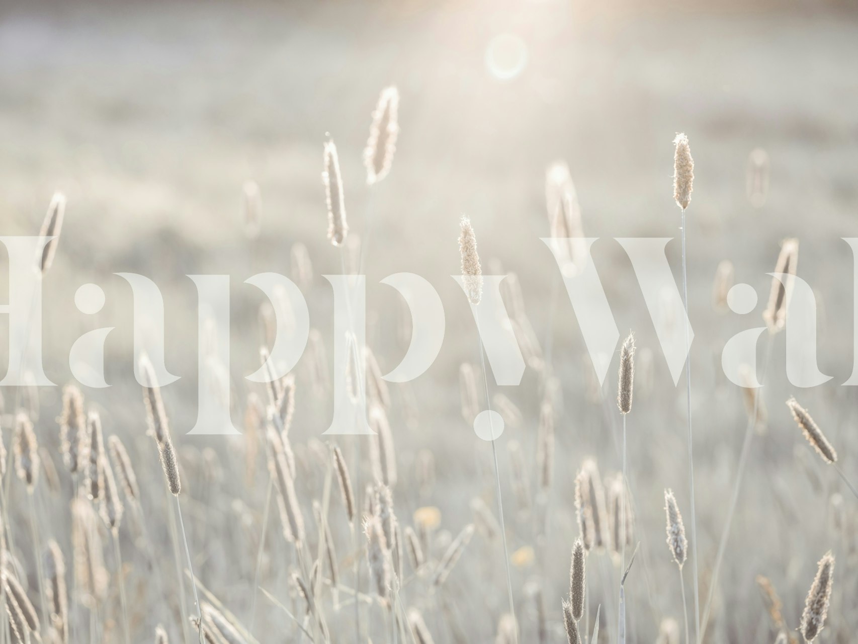 Seasonal Splendor wallpaper in a room setting